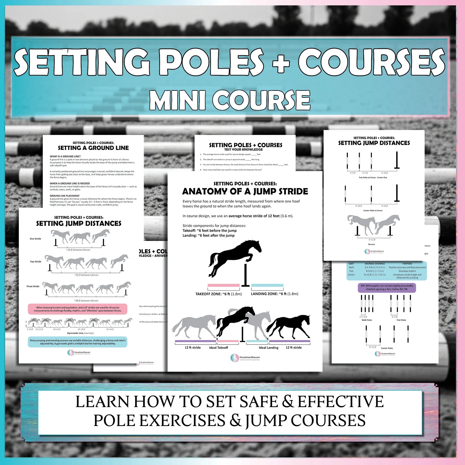 Setting Poles & Courses Mini Course
