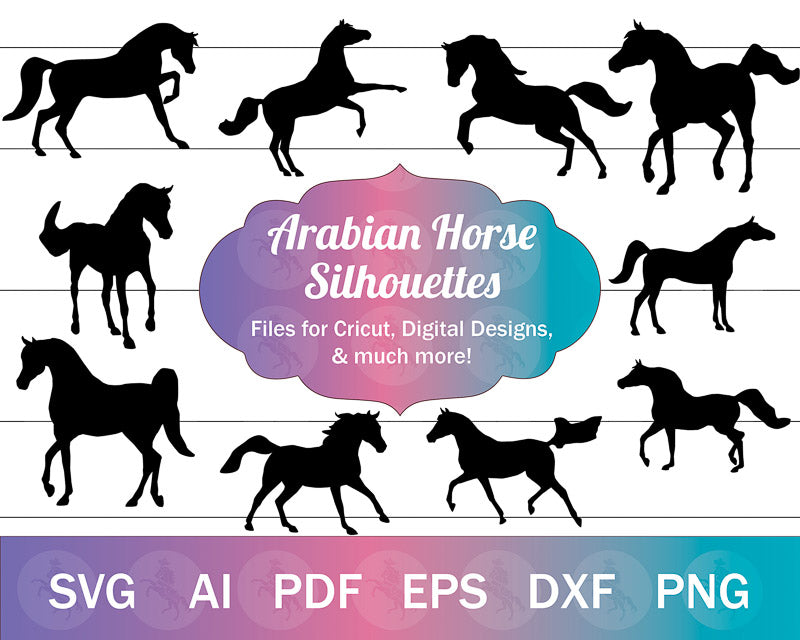 Arabian Horse SVG Bundle