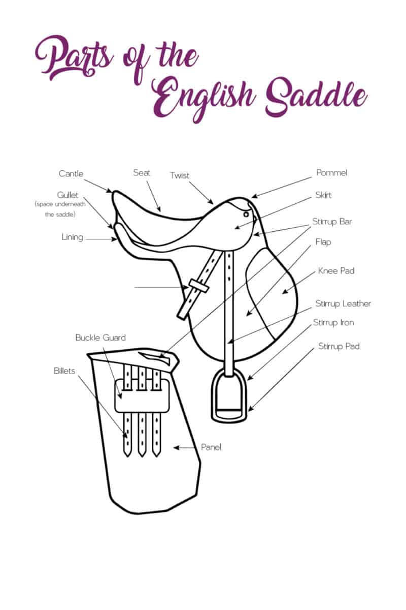 The Equestrienne's Journal - Digital/PDF