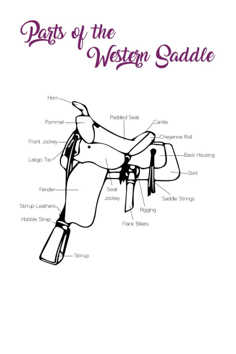 The Equestrienne's Journal - Digital/PDF