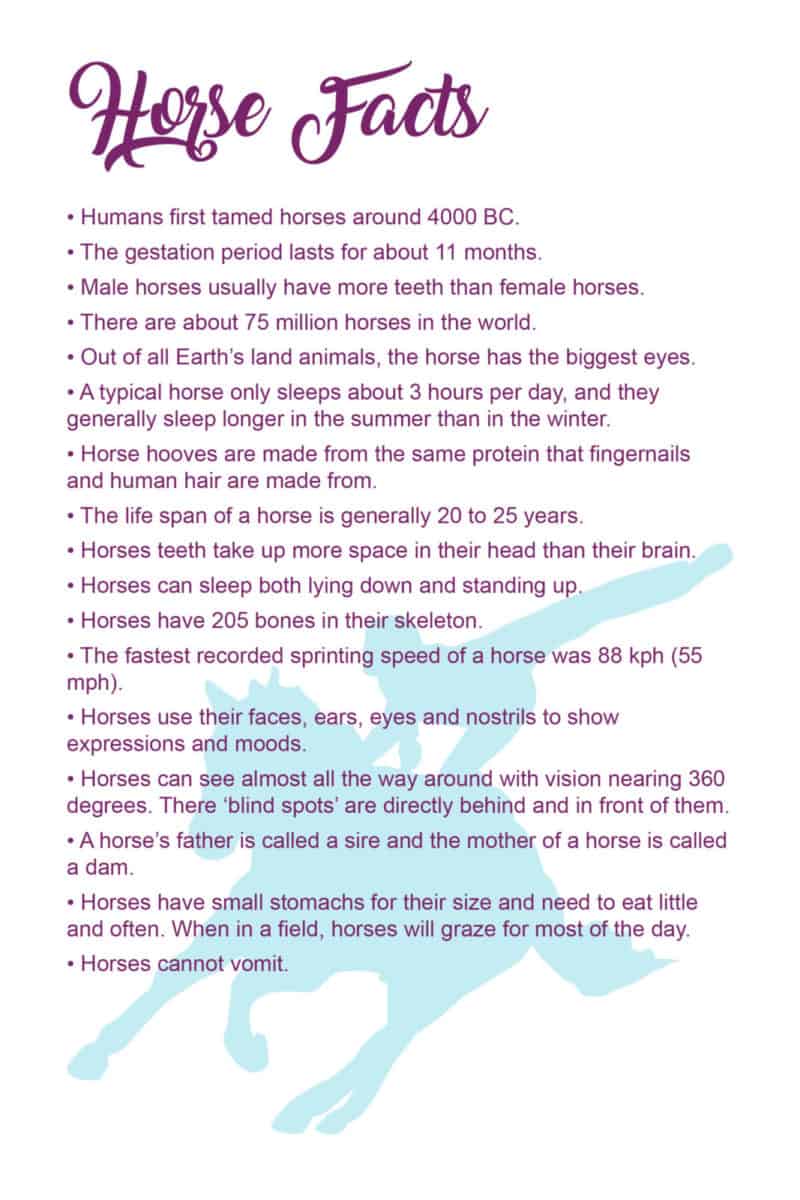 The Equestrienne's Journal - Digital/PDF
