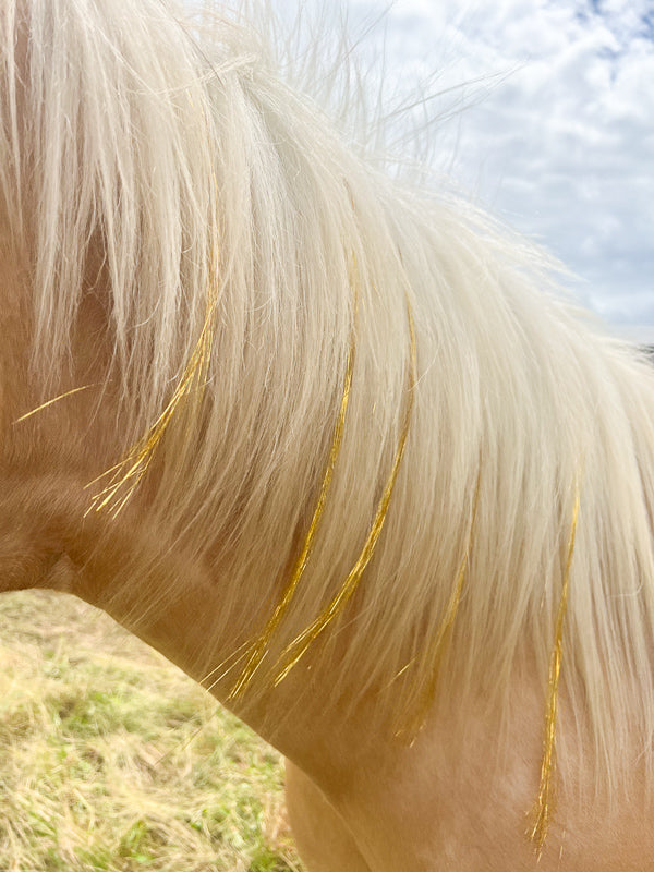 Mane Tinsels