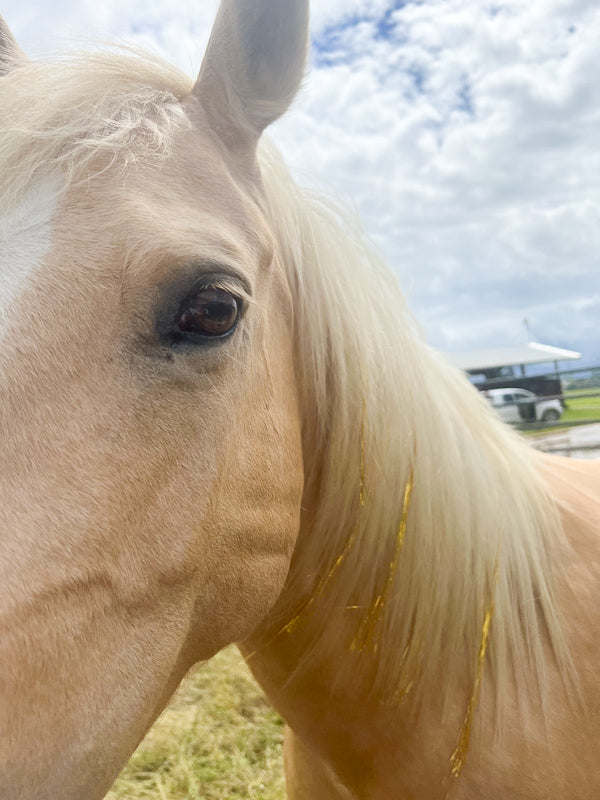Mane Tinsels