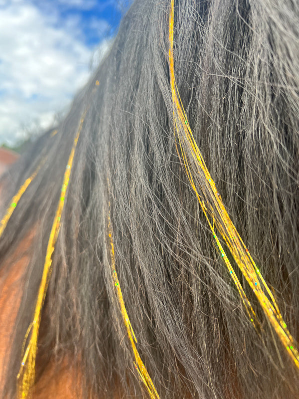 Mane Tinsels