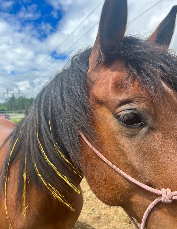 Mane Tinsels
