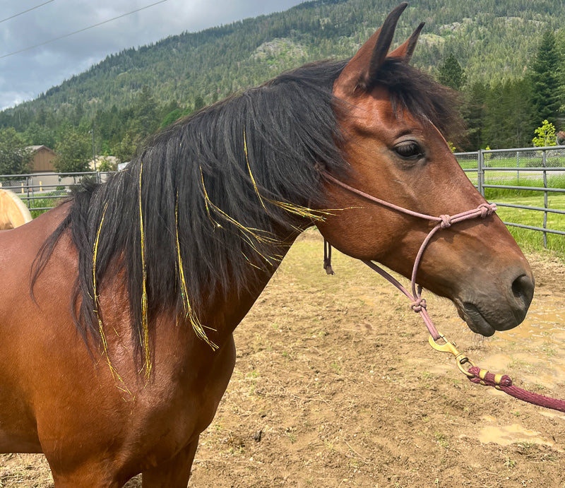 Mane Tinsels