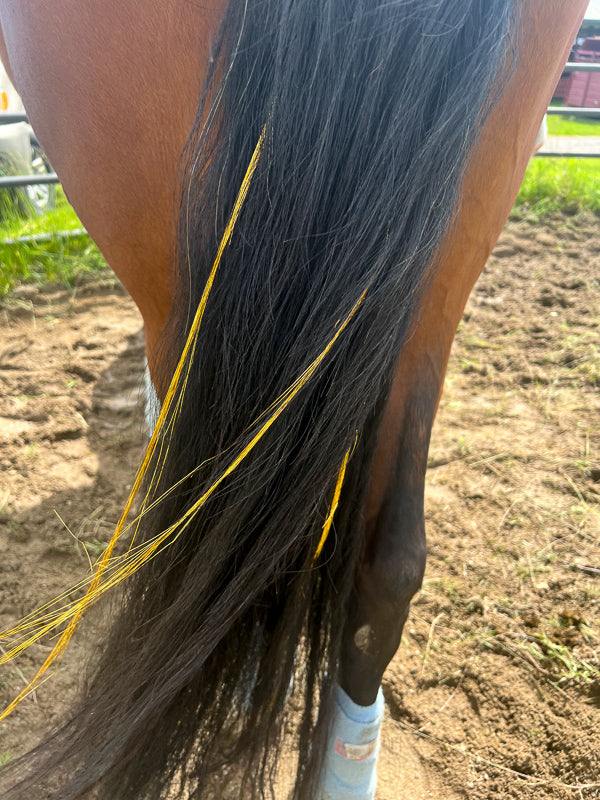 Mane Tinsels