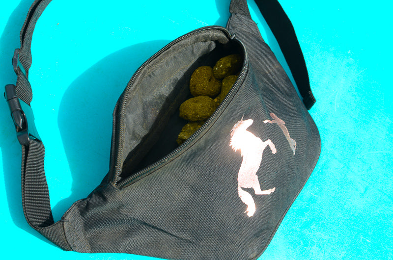 Horse Treat Pouch w/ Phone Pocket