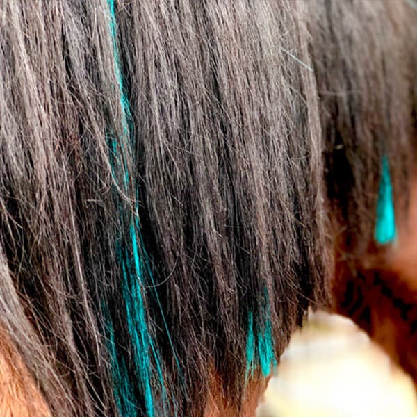 Colorful Mane & Tail Clip Ins