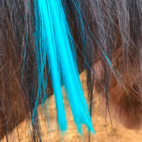 Colorful Mane & Tail Clip Ins