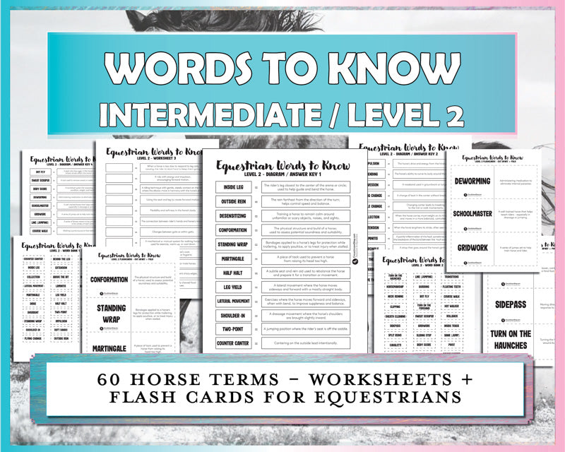 Horse Terminology for Intermediate Riders Worksheet & Flash Card Bundle