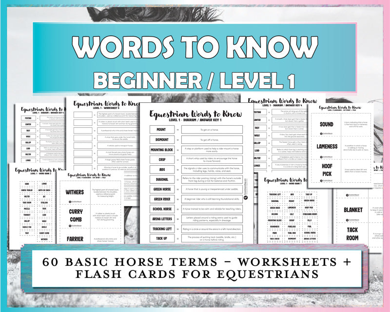 Horse Terminology for Beginner Riders Worksheet & Flash Card Bundle