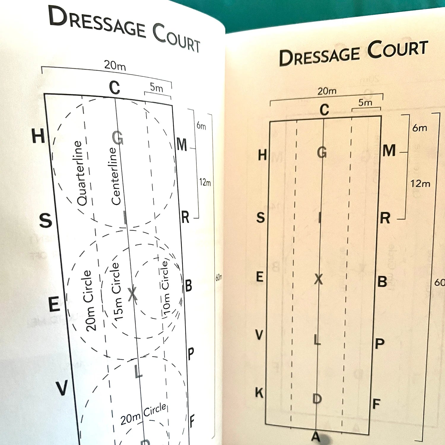 Dressage Rider's Journal