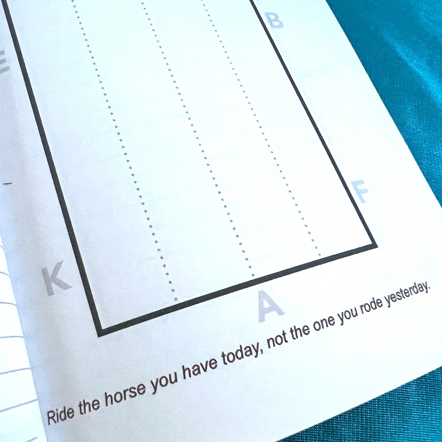 Dressage Rider's Journal
