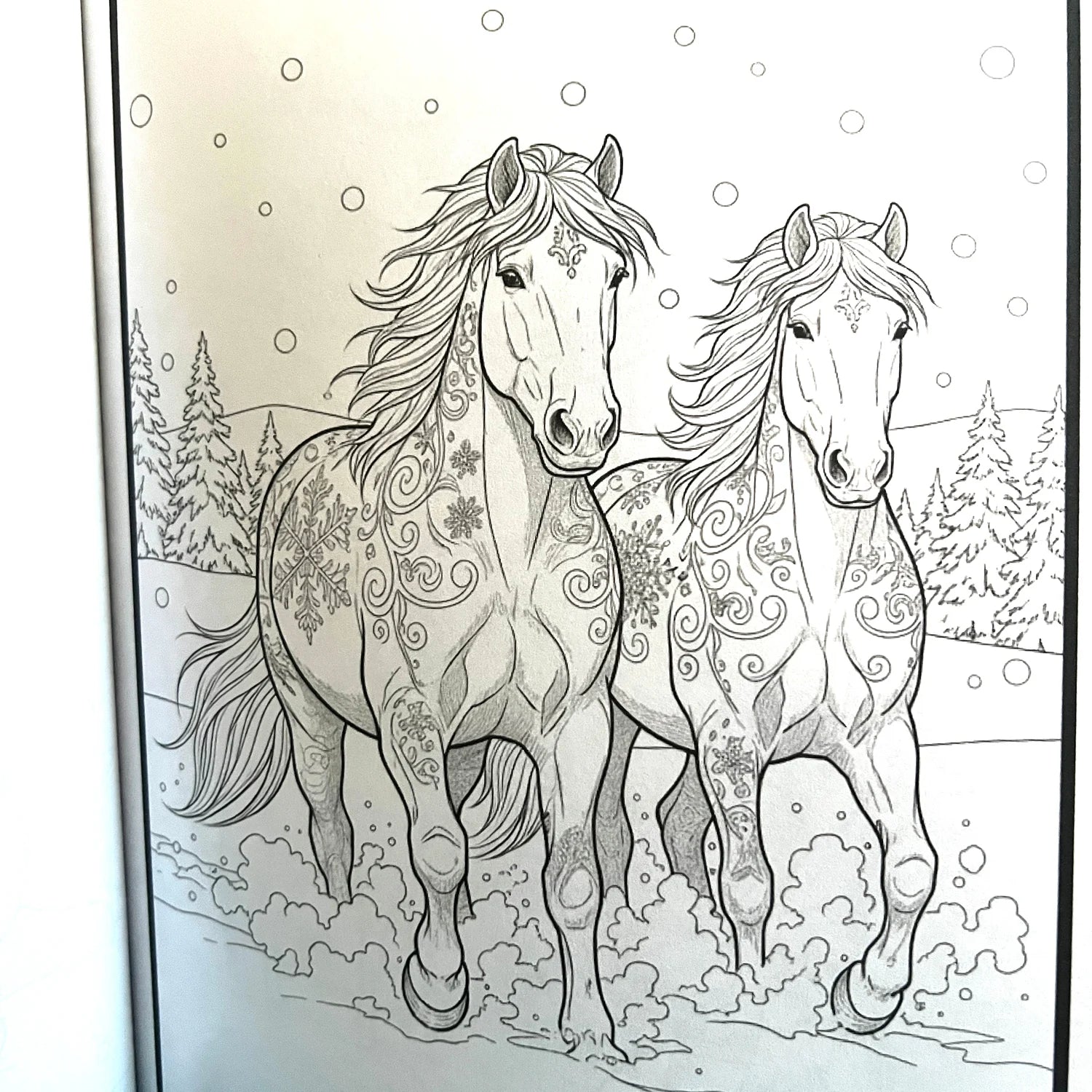 Winter Horses Coloring Book