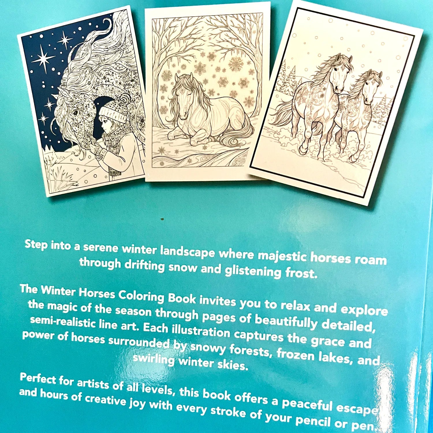 Winter Horses Coloring Book