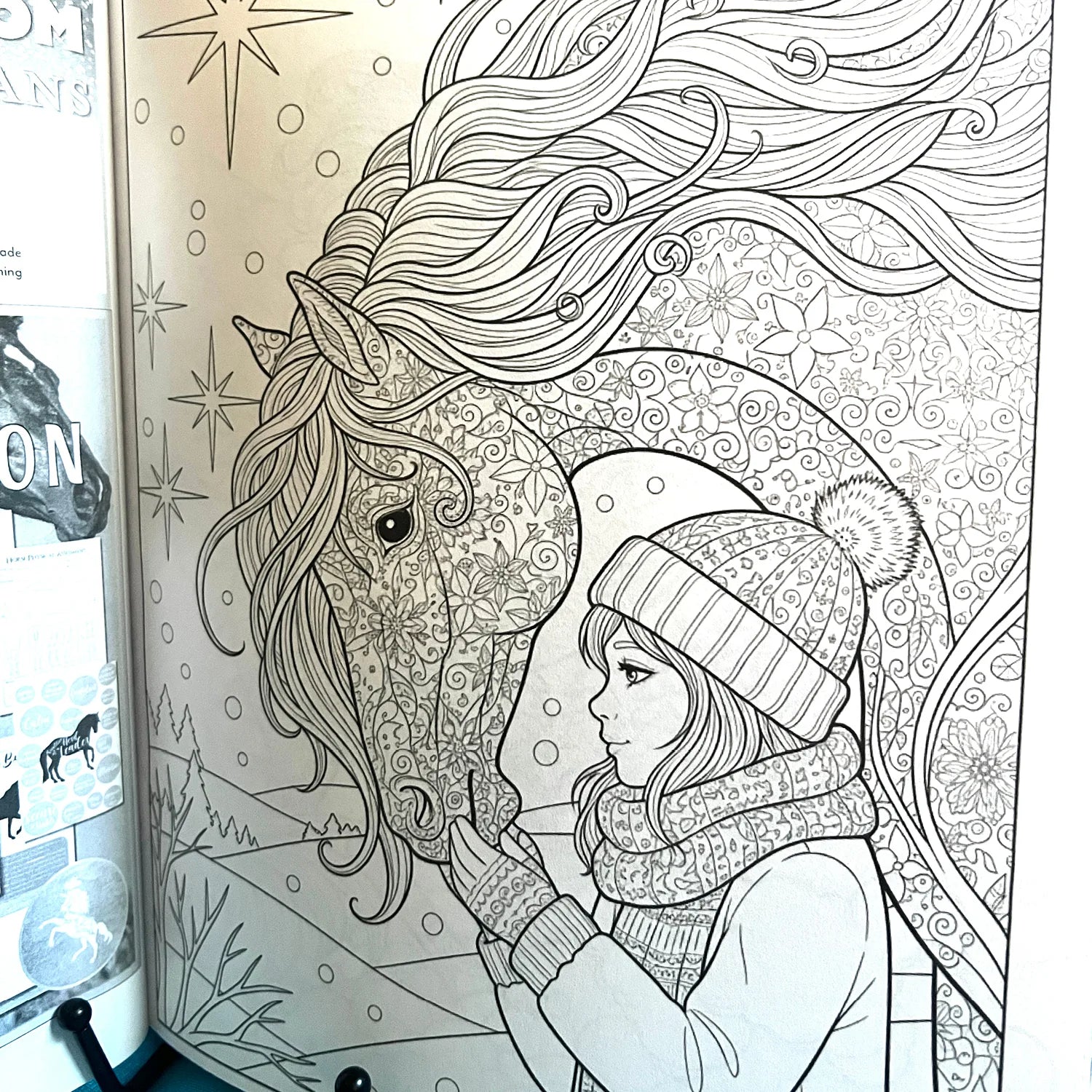 Winter Horses Coloring Book