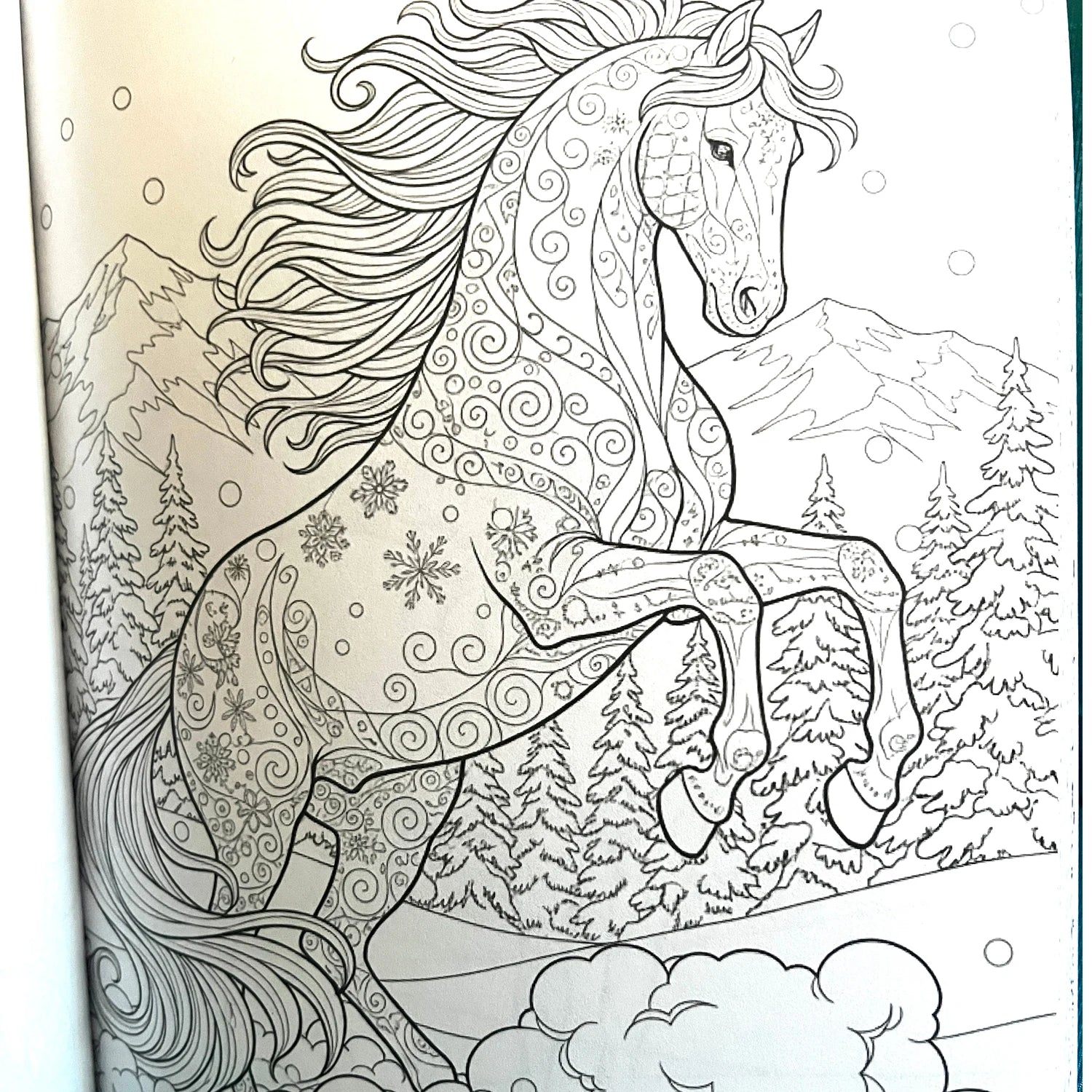 Winter Horses Coloring Book