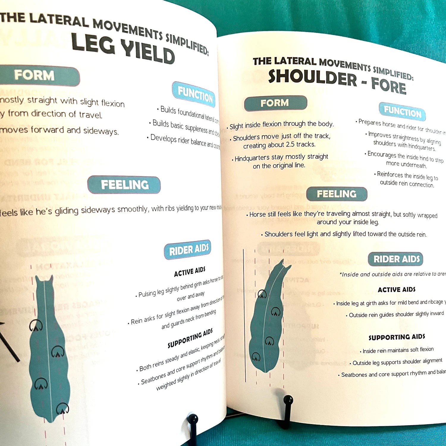Dressage Rider's Journal