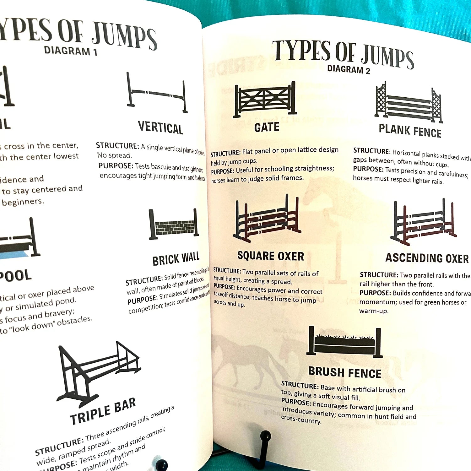 English Riding Lessons & Activities