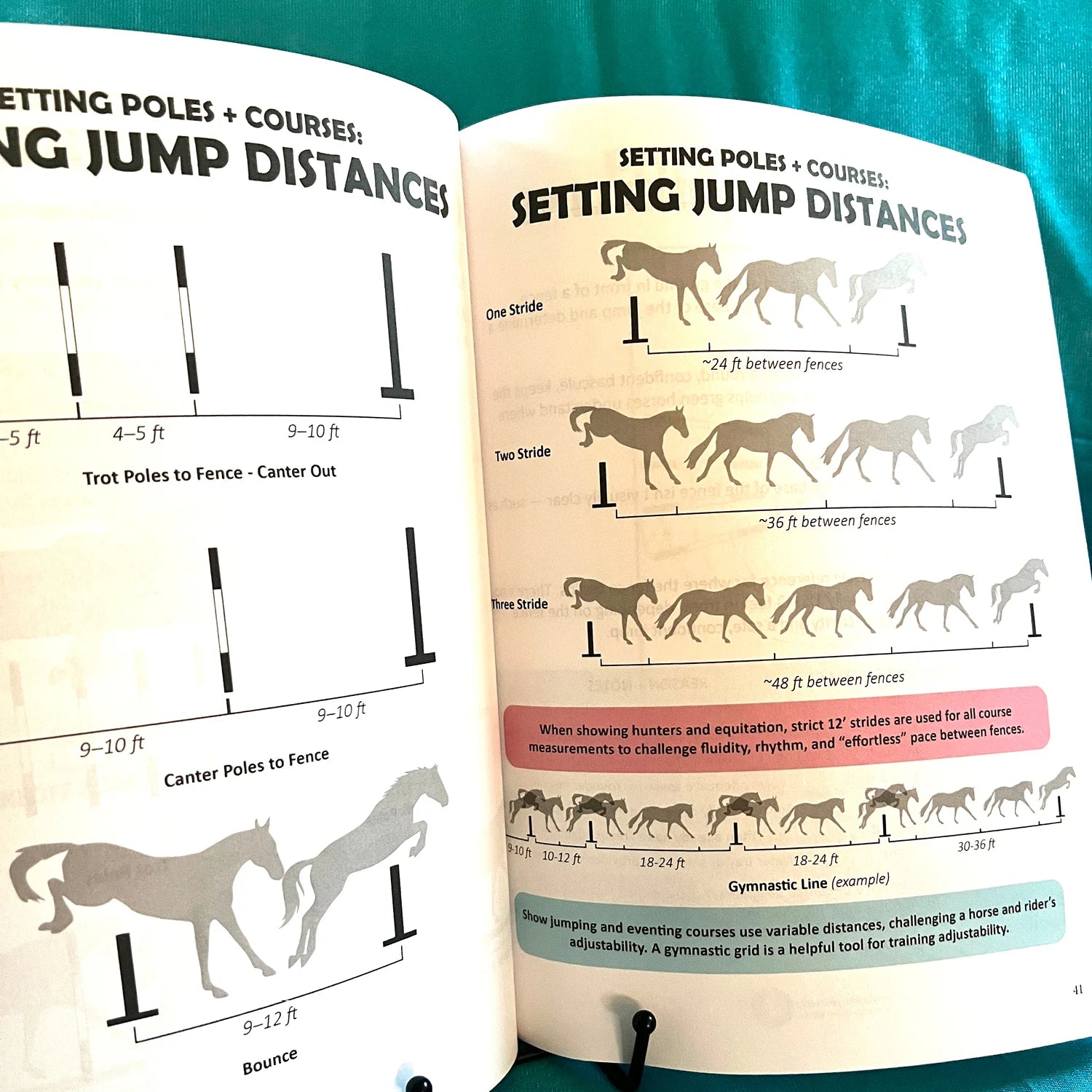 English Riding Lessons & Activities