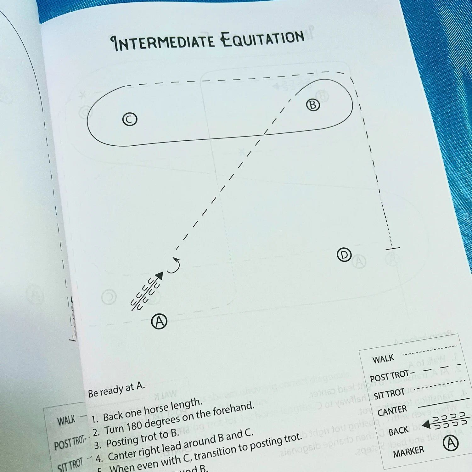The Book of Horse Show Patterns