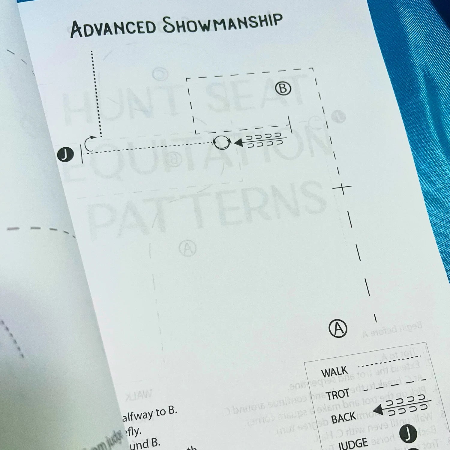 The Book of Horse Show Patterns