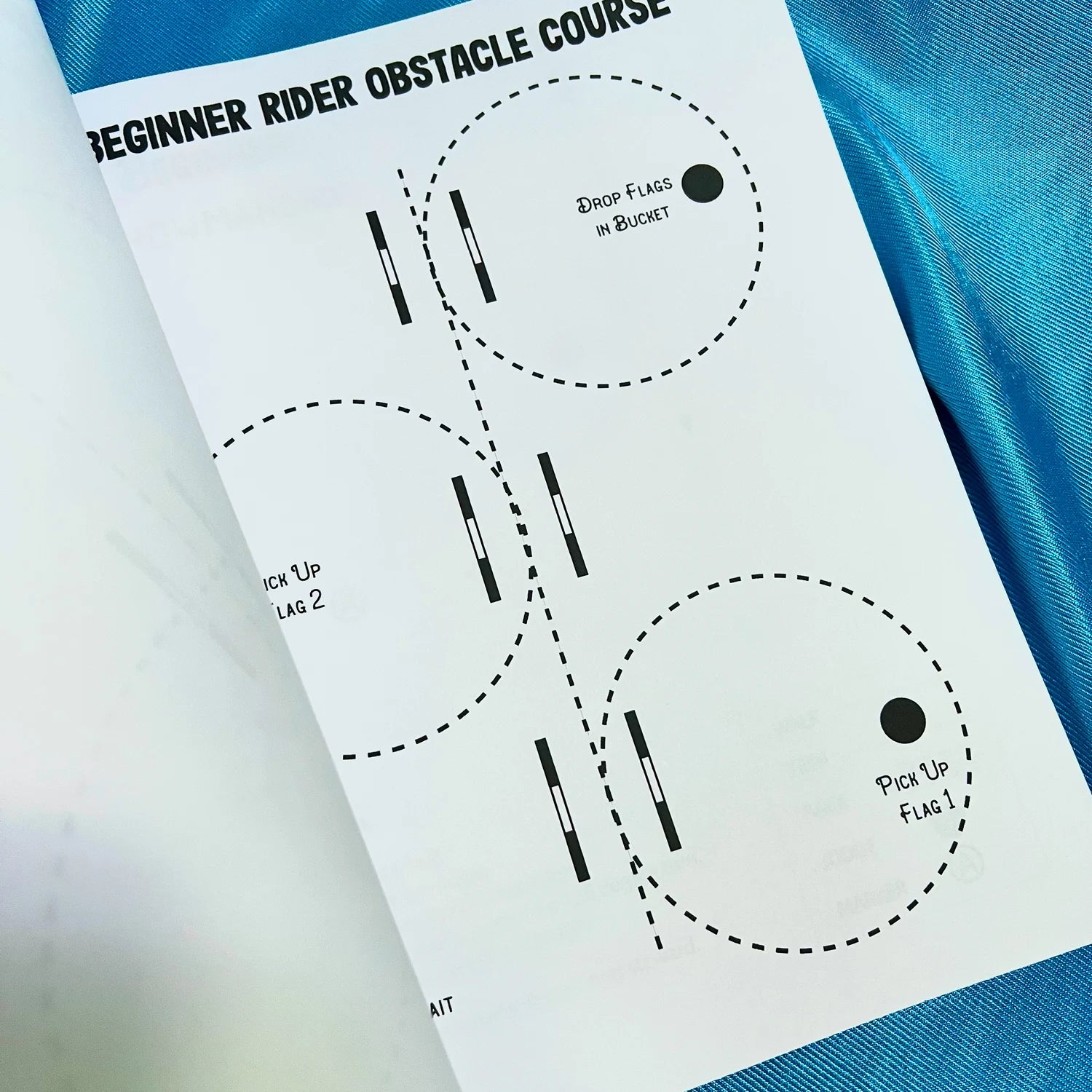Beginner Rider Lessons & Activities