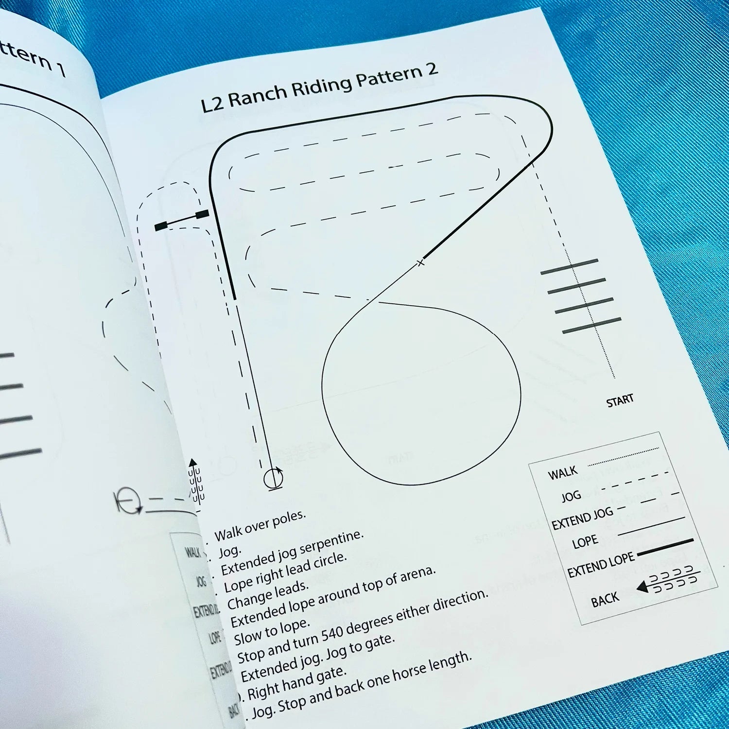 The Book of Ranch Riding