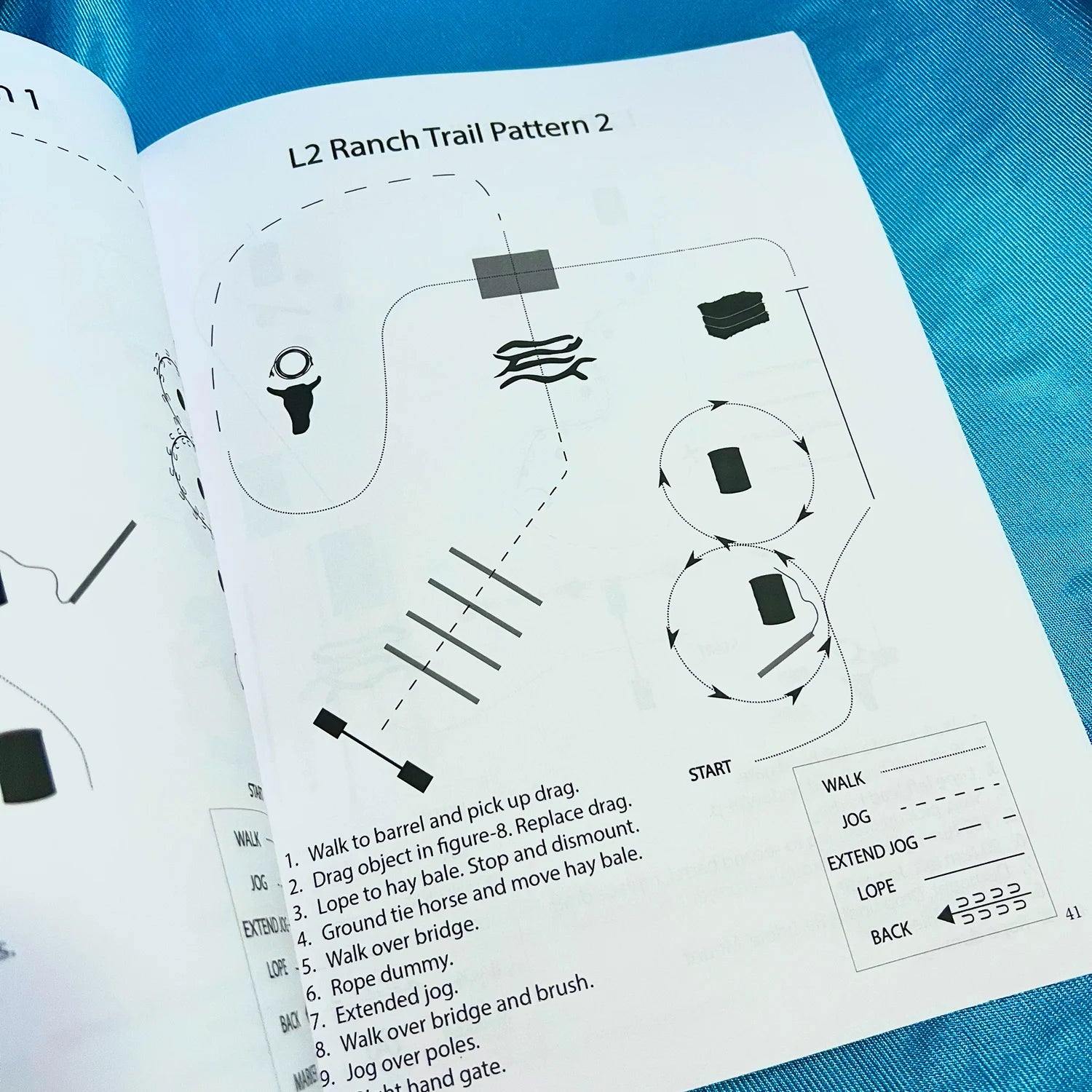The Book of Ranch Riding