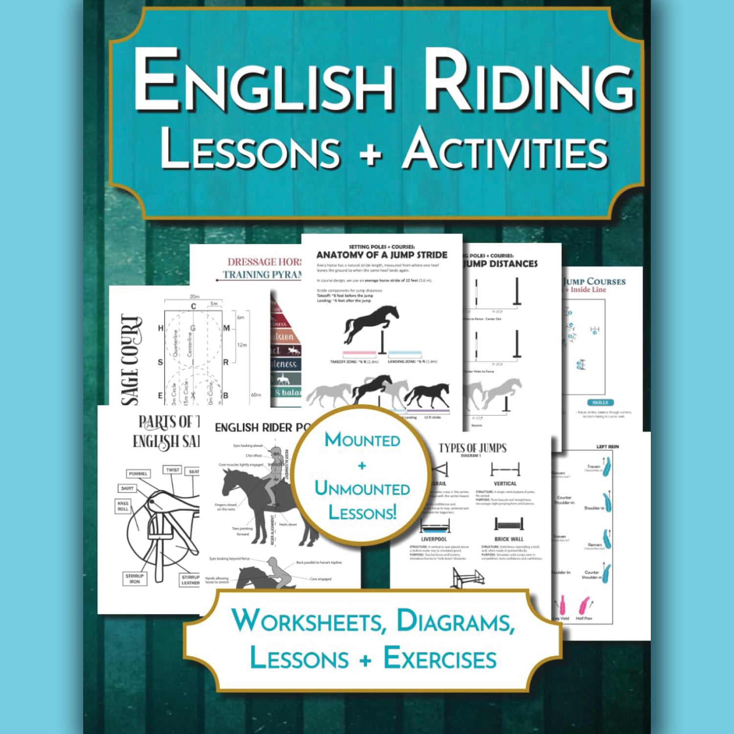 English Riding Lessons & Activities