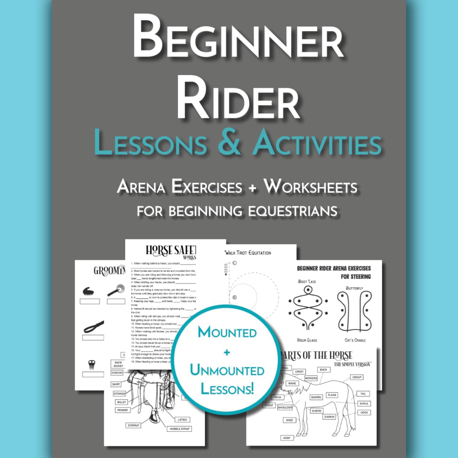 Beginner Rider Lessons & Activities