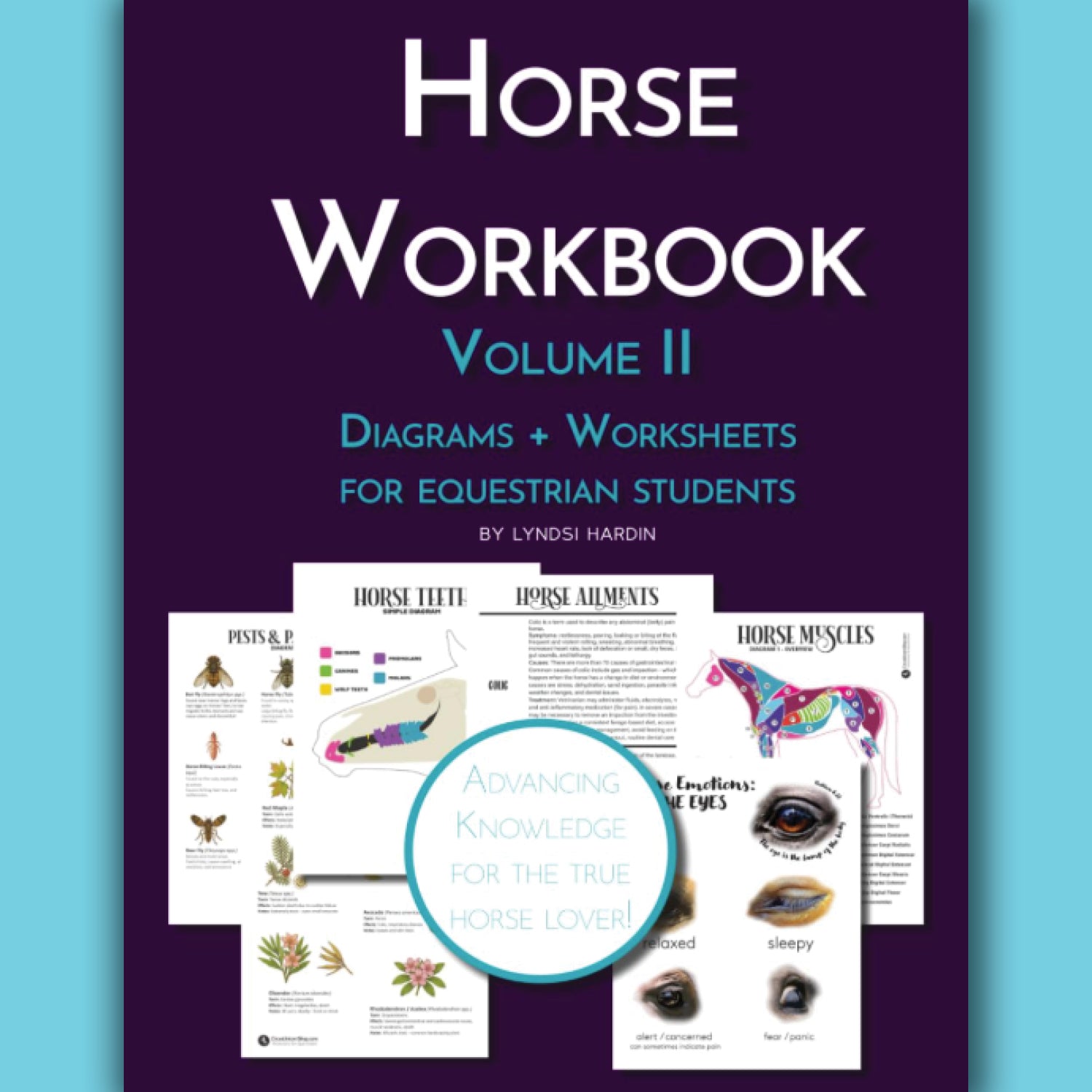 The Horse Workbook Vol. II