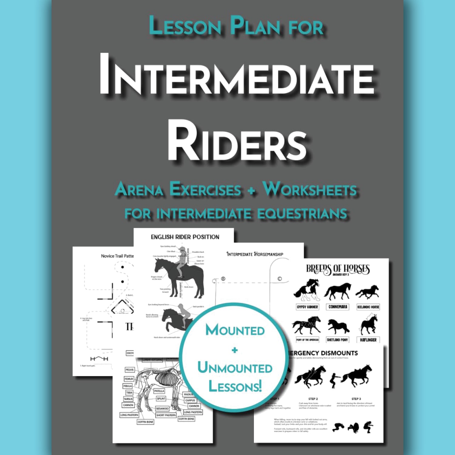 Intermediate Rider Lessons & Activities