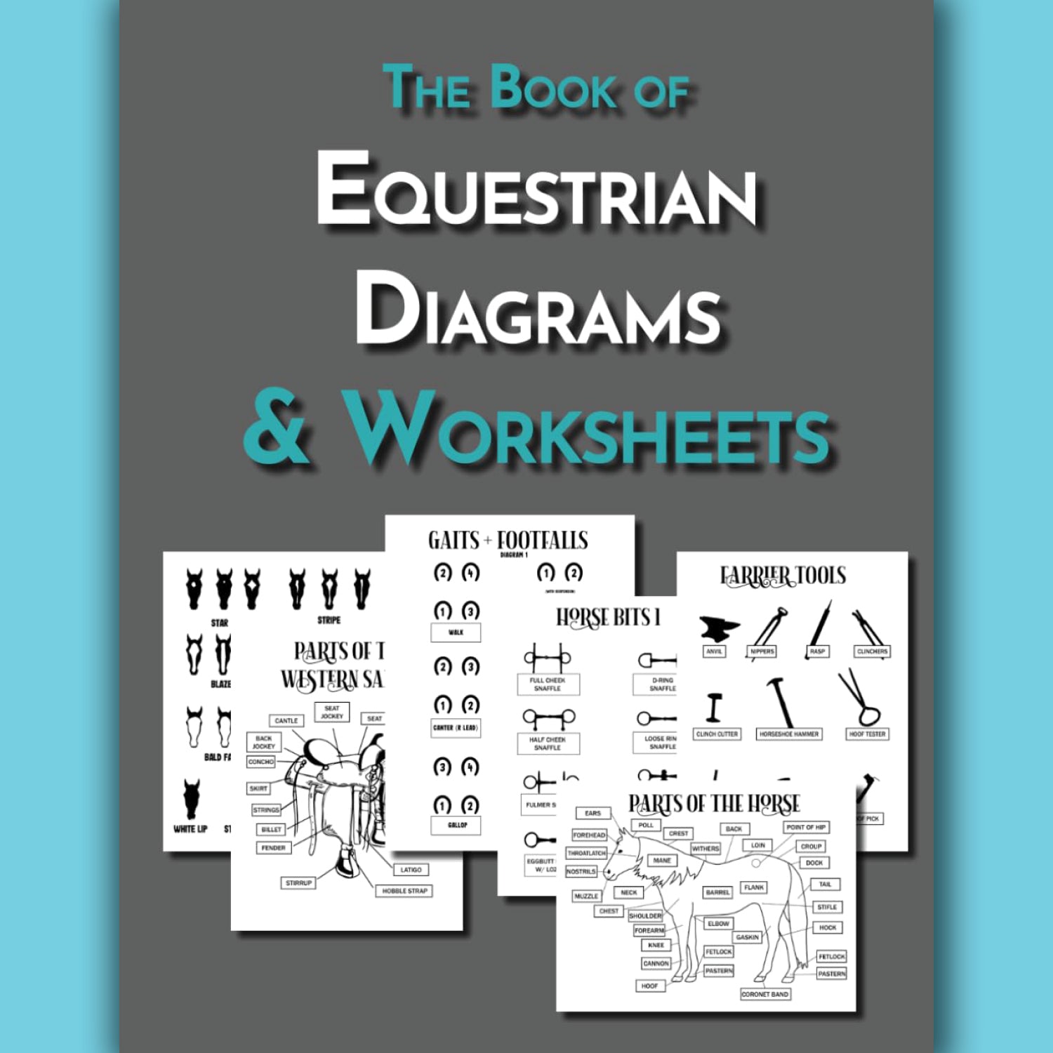 The Book of Equestrian Diagrams & Worksheets