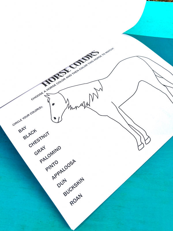 Riding Student's Horse Workbook