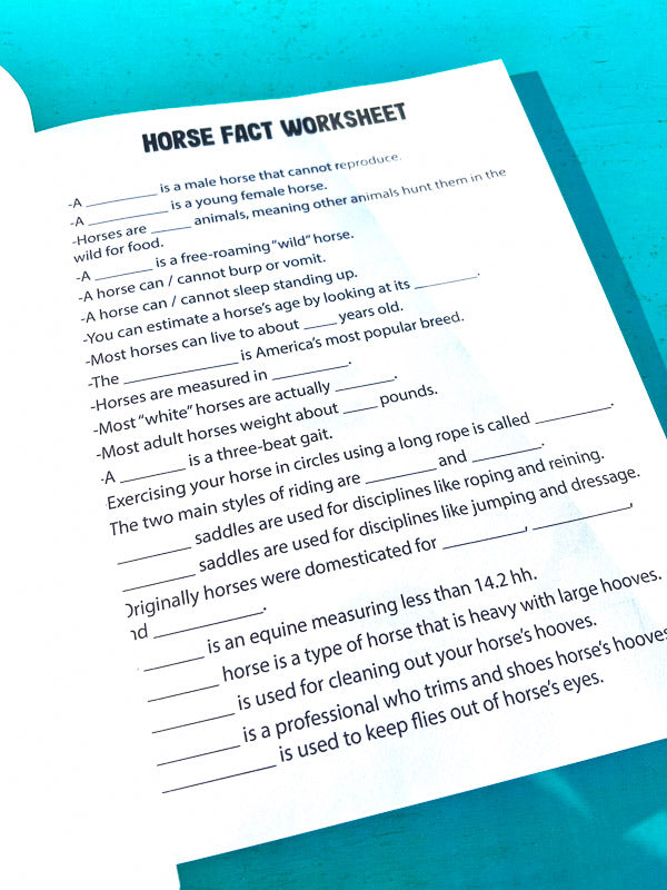 Riding Student's Horse Workbook