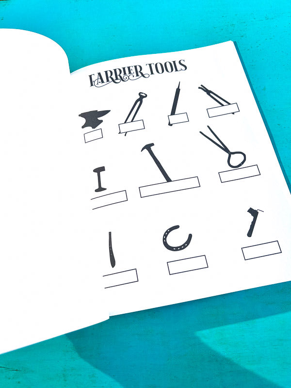 Riding Student's Horse Workbook