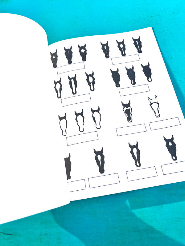 Riding Student's Horse Workbook