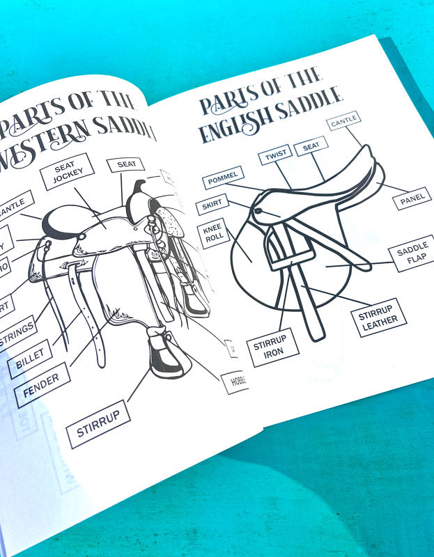 Riding Student's Horse Workbook