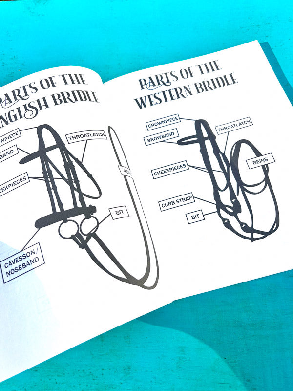 Riding Student's Horse Workbook