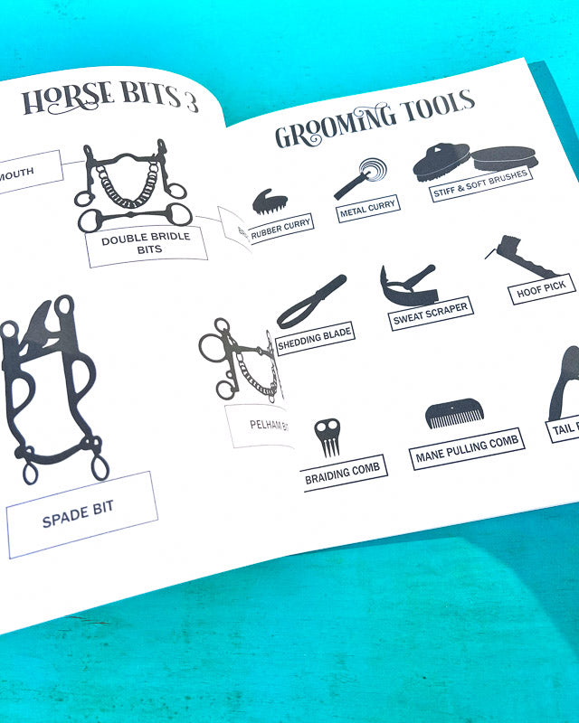The Book of Equestrian Diagrams & Worksheets