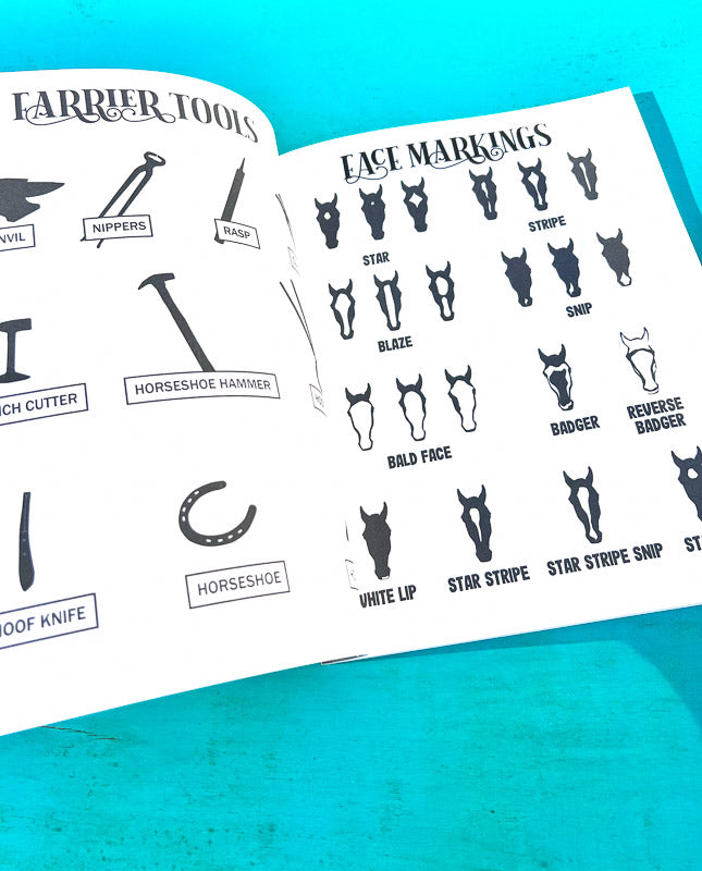 The Book of Equestrian Diagrams & Worksheets